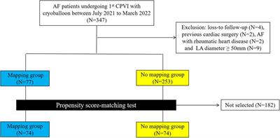 One-year outcomes of wide antral cryoballoon ablation guided by high-density mapping vs. conventional cryoballoon ablation for atrial fibrillation: a propensity score–matched study